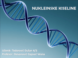 Nukleinske kiseline – Todorovic Dusan 4-3