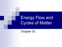 Energy Flow and Cycles of Matter
