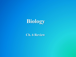 Biology_Ch._6