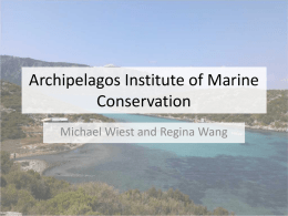 Archipelagos Institute of Marine Conservation