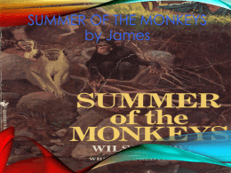 13Summaries (4) - Summer of the Monkeys