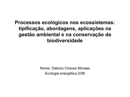 Processos ecológicos nos ecossistemas