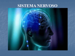 sistema nervoso - colegiomv.com.br
