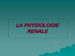Physiologie rénale