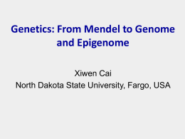 PPT: Genetics: From Mendel to Genome and Epigenome