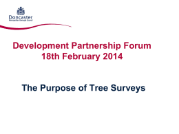 planning for trees - Doncaster Metropolitan Borough Council
