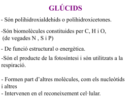 D-(+)-glucosa - IES Ramon Llull