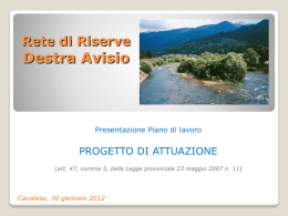 Relazione PowerPoint dott. Stefano Cattoi-MCF
