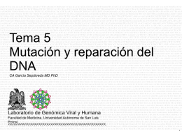 DNA Pol I - Universidad Autónoma de San Luis Potosí