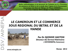 RSI, Douala, 14-16 Janvier 2014