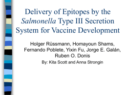 Delivery of Epitopes by the Salmonella Type III Secretion System for